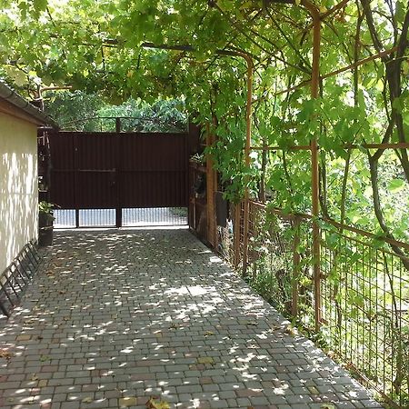 Apartament Dvorik Na Bolshom Fontane Odessa Zewnętrze zdjęcie